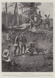 O emprego de cães na guerra